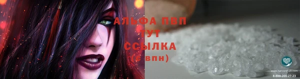 ПСИЛОЦИБИНОВЫЕ ГРИБЫ Сатка