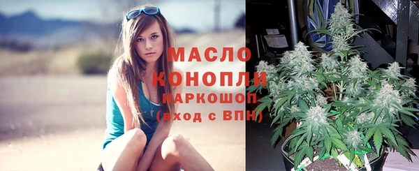 соль ск Саяногорск
