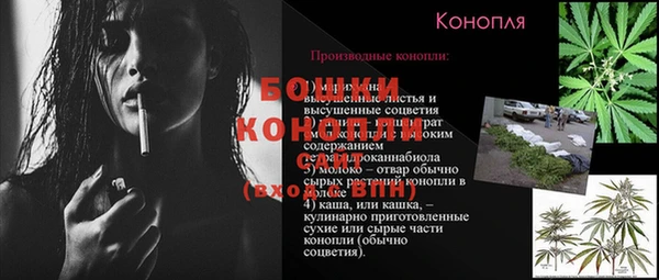 индика Белоозёрский